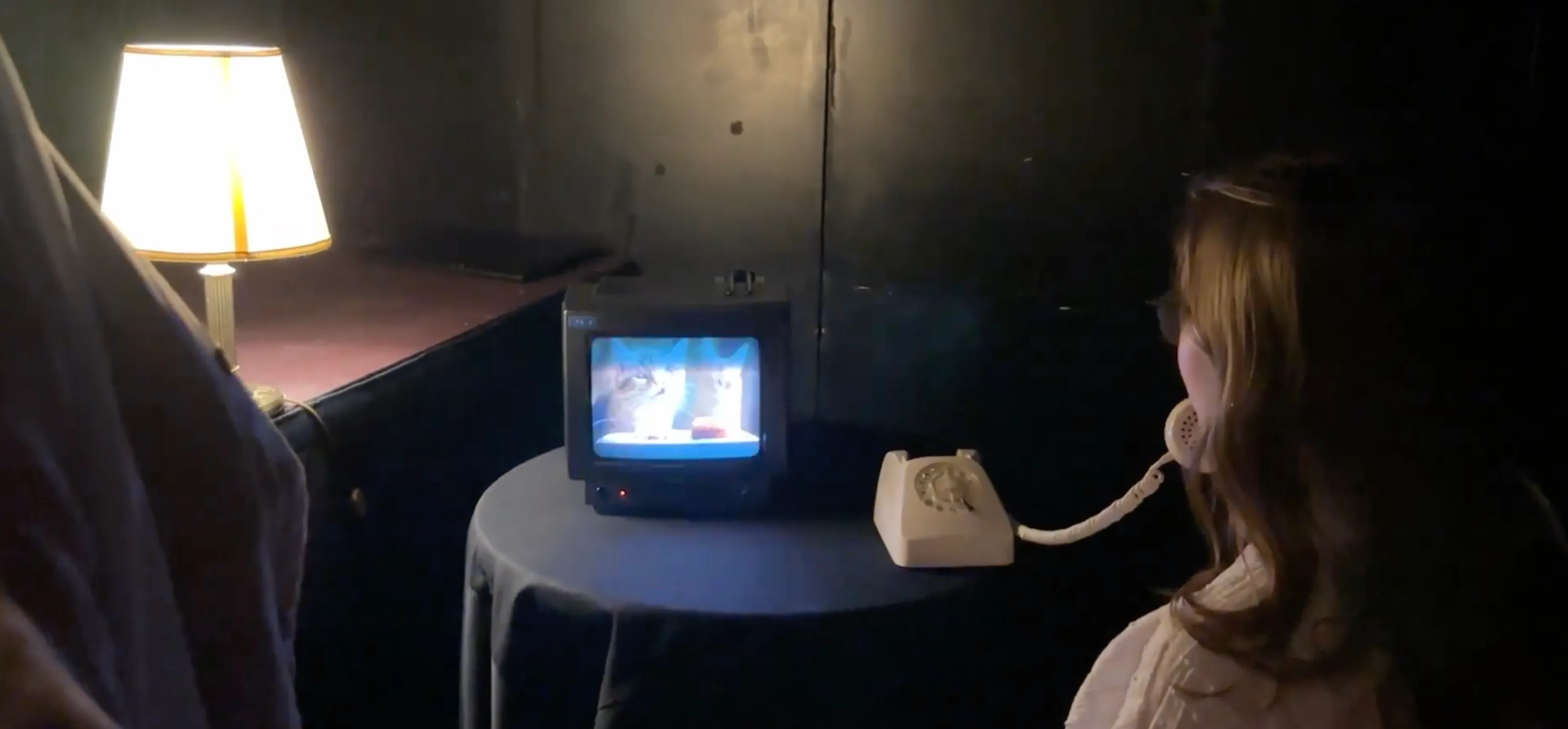 LucidEcho installation scene